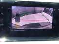 SEAT Ibiza IBIZA ROAD EDITION 1.0 TSI AHZV-VORBER. SHZ EPH Azul - thumbnail 18