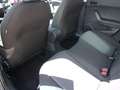 SEAT Ibiza IBIZA ROAD EDITION 1.0 TSI AHZV-VORBER. SHZ EPH Azul - thumbnail 11