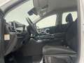 Kia Sportage 1.6 CRDi MHEV Business 4x2 DCT 136 Bianco - thumbnail 15
