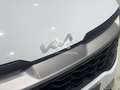 Kia Sportage 1.6 CRDi MHEV Business 4x2 DCT 136 Bianco - thumbnail 3