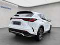 Lexus NX 350h h FSPORT, Headup, Navi, Leder, 360° Wit - thumbnail 6