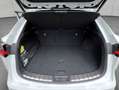 Lexus NX 350h h FSPORT, Headup, Navi, Leder, 360° Wit - thumbnail 5