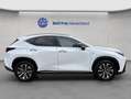 Lexus NX 350h h FSPORT, Headup, Navi, Leder, 360° Wit - thumbnail 7