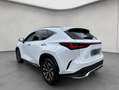 Lexus NX 350h h FSPORT, Headup, Navi, Leder, 360° Wit - thumbnail 3
