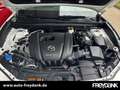 Mazda CX-30 SKYACTIV-G 2.0 M Hybrid HOMURA,Automatik Wit - thumbnail 8