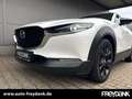Mazda CX-30 SKYACTIV-G 2.0 M Hybrid HOMURA,Automatik Wit - thumbnail 6