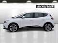 Renault Scenic Intens Blue 120dci Weiß - thumbnail 5