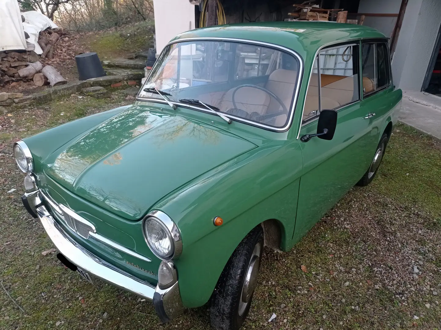Autobianchi Bianchina Panoramica Green - 1