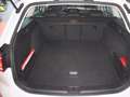 Volkswagen Passat Variant R-Line 2.0TDI DSG 4M 332,-ohne Anzahlung ACC Navi Weiß - thumbnail 21
