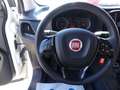 Fiat Doblo SX Kasten*MwSt*Klima*PDC*Allwetter Weiß - thumbnail 10