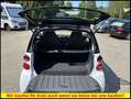 smart forTwo coupe PANO*SHZ*Klima* Wit - thumbnail 13