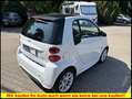 smart forTwo coupe PANO*SHZ*Klima* Blanc - thumbnail 5