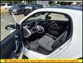 smart forTwo coupe PANO*SHZ*Klima* Wit - thumbnail 8