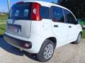 Fiat Panda Panda 1.2 Pop Basso chilometraggio Bianco - thumbnail 4