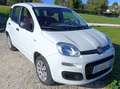 Fiat Panda Panda 1.2 Pop Basso chilometraggio Bianco - thumbnail 1