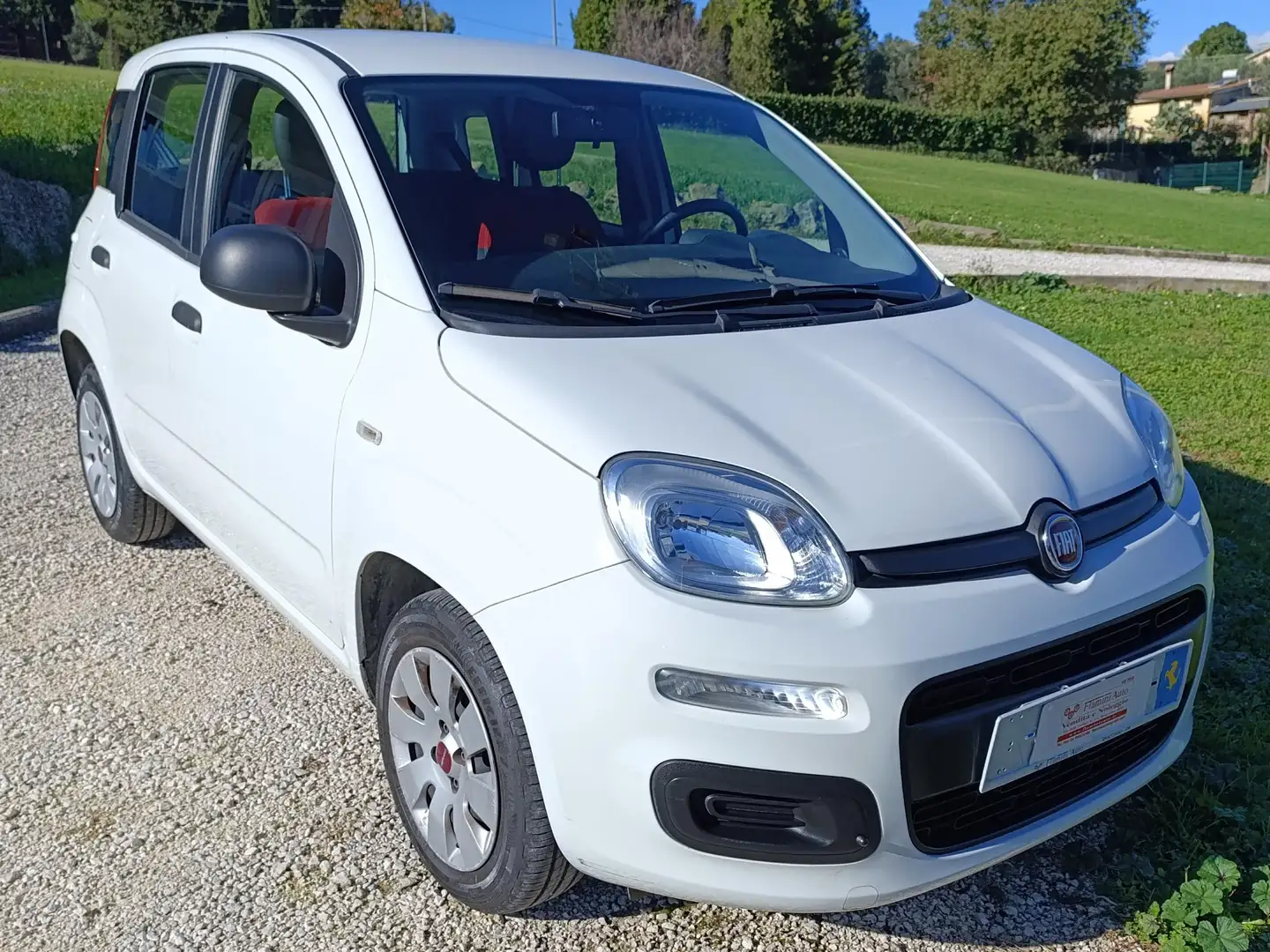Fiat Panda Panda 1.2 Pop Basso chilometraggio Bianco - 1