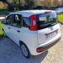 Fiat Panda Panda 1.2 Pop Basso chilometraggio Bianco - thumbnail 3