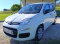 Fiat Panda Panda 1.2 Pop Basso chilometraggio Bianco - thumbnail 2