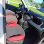 Fiat Panda Panda 1.2 Pop Basso chilometraggio Bianco - thumbnail 7