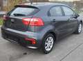 Kia Rio Rio 1,2 MPI Titan Limited Titan Limited Grau - thumbnail 3