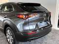 Mazda CX-30 HeadUp Bose LenkradHz. 360°Kam Grau - thumbnail 14