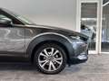Mazda CX-30 HeadUp Bose LenkradHz. 360°Kam Grau - thumbnail 12