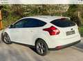 Ford Focus Focus Easy 1,6 TDCi Easy Weiß - thumbnail 2