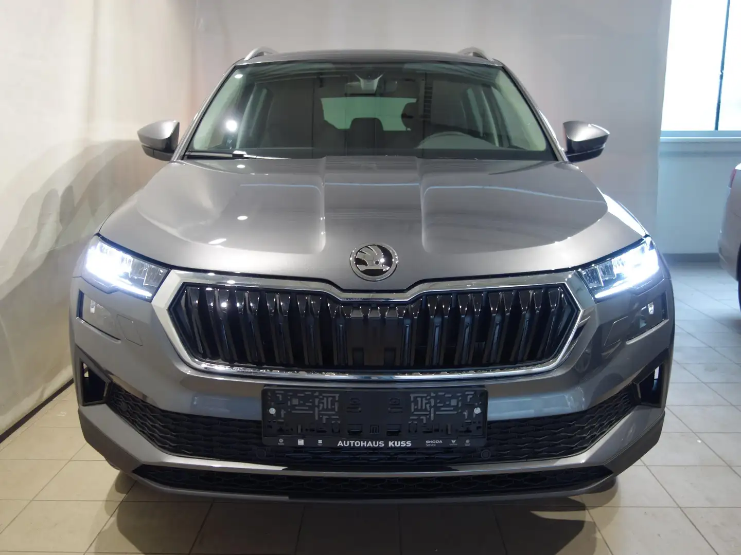 Skoda Karoq Selection TSI Grau - 2