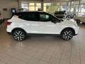 SEAT Arona FR 110PS DSG AHK Weiß - thumbnail 8