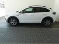 Volkswagen Taigo R-Line TSI DSG Weiß - thumbnail 3
