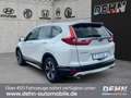 Honda CR-V 1.5 VTEC Turbo Comfort Style-Paket Weiß - thumbnail 4