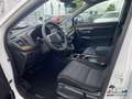 Honda CR-V 1.5 VTEC Turbo Comfort Style-Paket Weiß - thumbnail 7