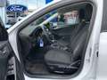 Ford Focus 1.0 Ecoboost Trend 100 Blanc - thumbnail 11