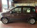 Fiat Panda 0,9 Lounge 85cv TwinAir Marrón - thumbnail 7
