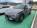 Alfa Romeo Stelvio 2.2 T.d. 160CV AT8 RWD SUPER BUSINESS - 2022 Grigio - thumbnail 3
