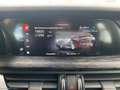 Alfa Romeo Stelvio 2.2 T.d. 160CV AT8 RWD SUPER BUSINESS - 2022 Grigio - thumbnail 19