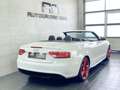 Audi S5 Cabriolet B&O Sound+Sitzklima+Navi+Xenon White - thumbnail 6