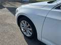 Volkswagen Passat Variant Passat Variant 2.0 tdi Business 150cv dsg Blanco - thumbnail 2