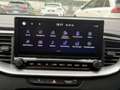 Kia ProCeed / pro_cee'd 1.5 T-GDI DCT7 OPF GT LINE Grigio - thumbnail 13