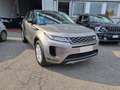 Land Rover Range Rover Evoque 2.0D I4 150CV AWD Business Edition Bronzo - thumbnail 2