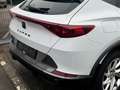 CUPRA Formentor Basis a 4Drive * GARANTIE * AUTOMATIK Blanc - thumbnail 14
