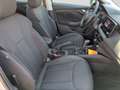 Skoda Kamiq 1.0TSI DSG Ambition Klima SHZ GRA PDC hinten Grijs - thumbnail 16