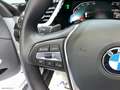 BMW Z4 sDrive20i *INTERNO COGNAC* Argent - thumbnail 22