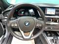 BMW Z4 sDrive20i *INTERNO COGNAC* Argent - thumbnail 24