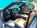 BMW Z4 sDrive20i *INTERNO COGNAC* Argento - thumbnail 6