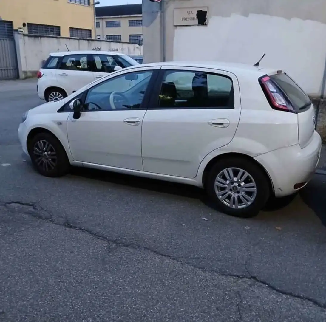 Fiat Punto 5p 1.2 Classic Active - 1