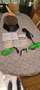 Kawasaki Versys-X 300 Vert - thumbnail 13