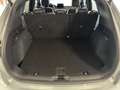 Ford Kuga 2.5 Duratec FHEV 4x4 ST-LINE X Grau - thumbnail 8