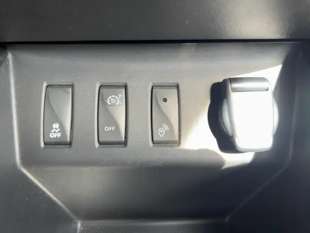 Dacia Spring view 16