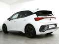CUPRA Born 60/63kWh 170 kW LED Navi ACC 360Kamera Keyless DAB Weiß - thumbnail 6